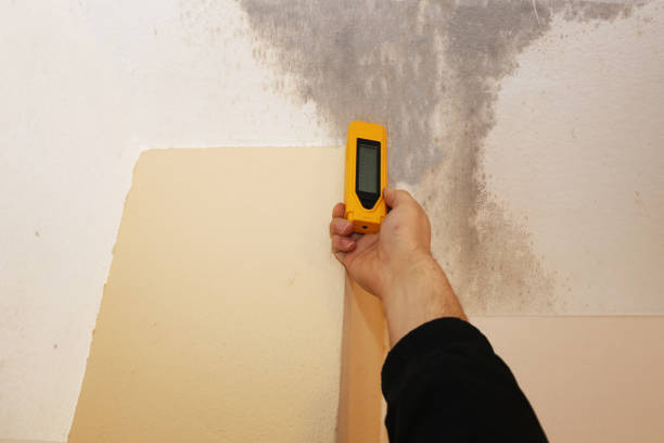 Biohazard Mold Removal in Waikele, HI