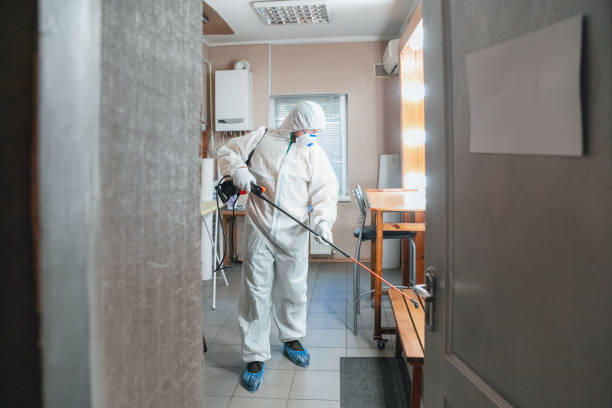 Professional Mold Removal in Waikele, HI