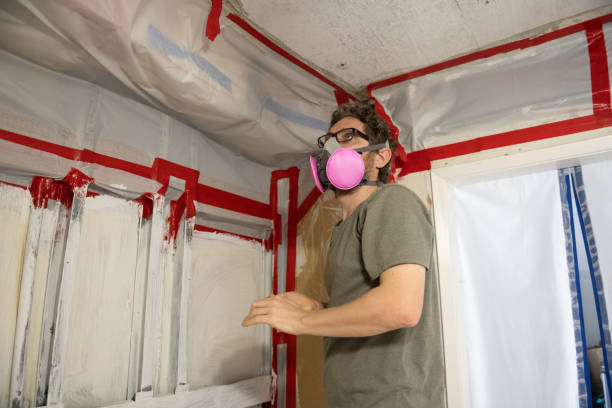 Best Environmental Consulting for Mold Prevention  in Waikele, HI