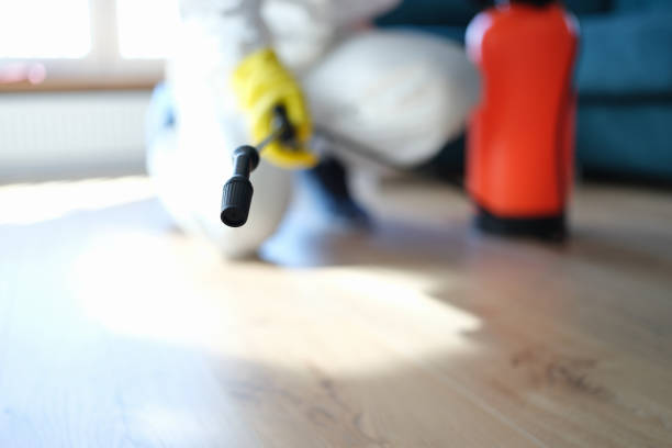 Best Biohazard Mold Removal  in Waikele, HI