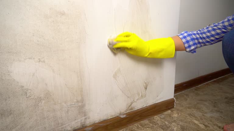 Best Mold Prevention Services  in Waikele, HI