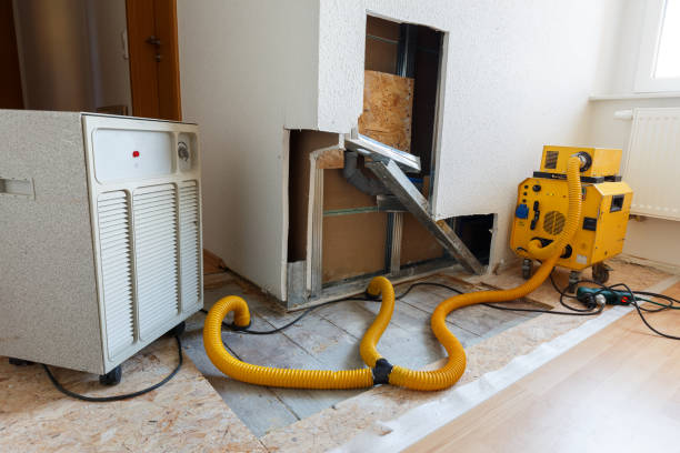 Best Dehumidification Services  in Waikele, HI
