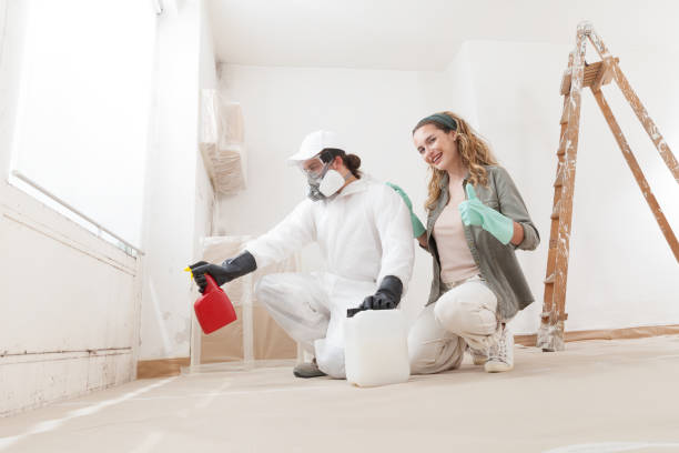 Best Air Quality Testing for Mold Spores  in Waikele, HI